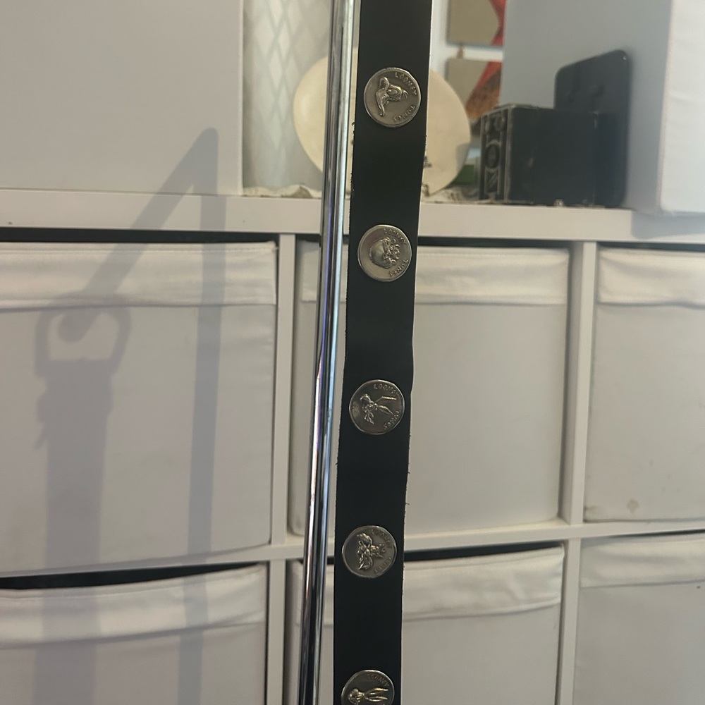 Belt